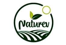 Nokta Art: Google Reklam - Sosyal Medya - SEO - Web Tasarım