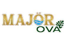 Nokta Art: Google Reklam - Sosyal Medya - SEO - Web Tasarım