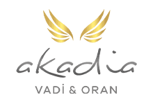 Nokta Art: Google Reklam - Sosyal Medya - SEO - Web Tasarım