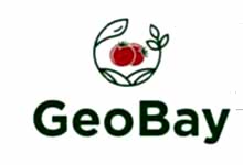 Nokta Art: Google Reklam - Sosyal Medya - SEO - Web Tasarım