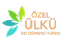 Nokta Art: Google Reklam - Sosyal Medya - SEO - Web Tasarım