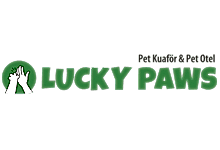 Nokta Art: Google Reklam - Sosyal Medya - SEO - Web Tasarım