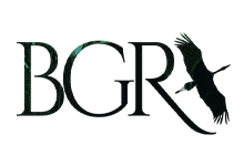 Nokta Art: Google Reklam - Sosyal Medya - SEO - Web Tasarım