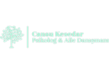 Nokta Art: Google Reklam - Sosyal Medya - SEO - Web Tasarım