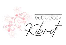 Nokta Art: Google Reklam - Sosyal Medya - SEO - Web Tasarım