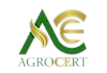 Nokta Art: Google Reklam - Sosyal Medya - SEO - Web Tasarım