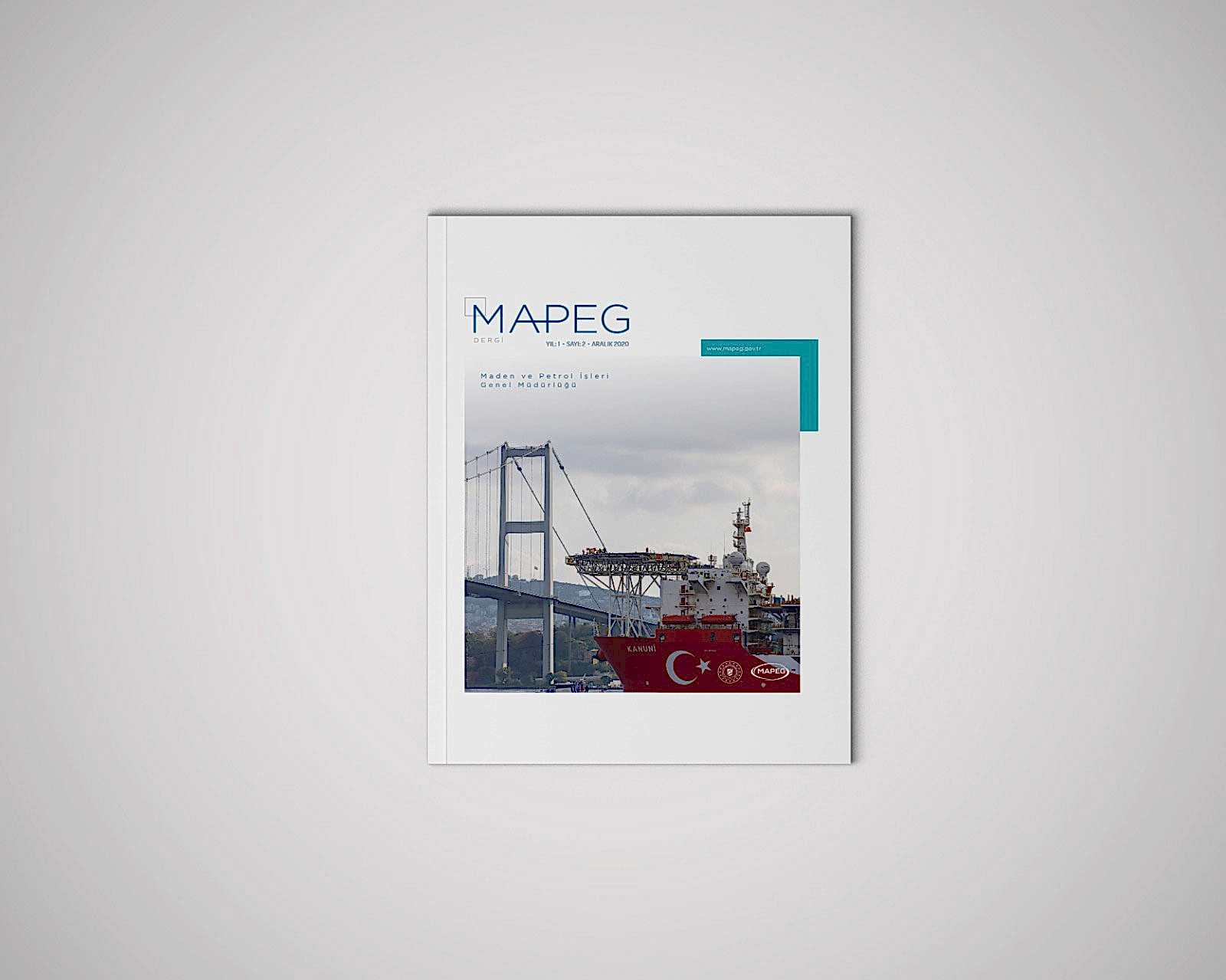 MAPEG Bülteni 2. Sayı - Dergi Tasarımı